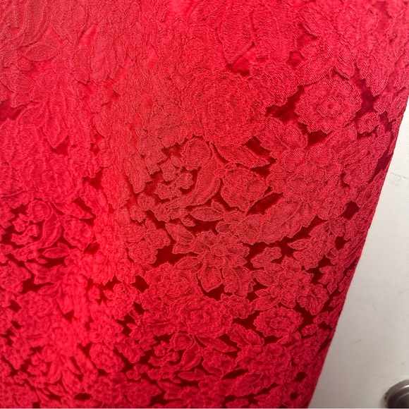 Monique Lhuillier Red-berry Floral Lace Sleeveless Mesh Cutout Back Dress NWT 6 - Picture 9 of 16